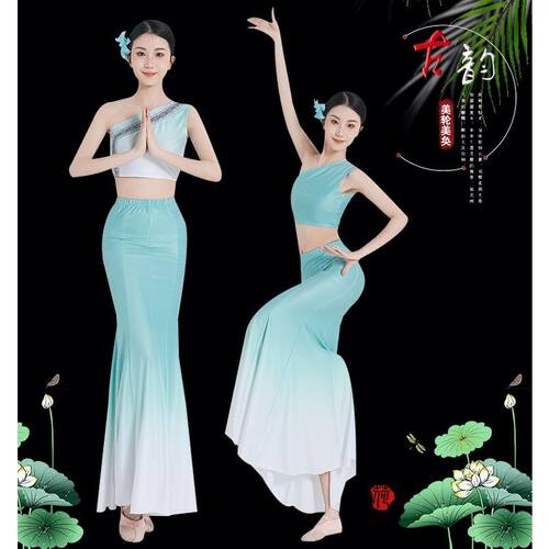傣族舞蹈演出服表孔雀鱼