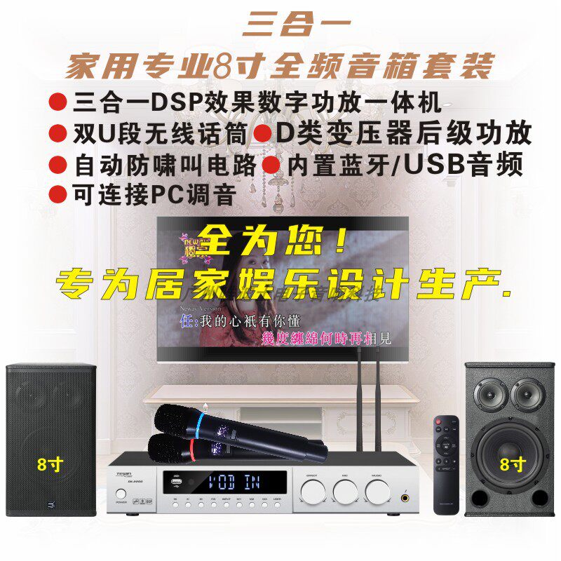 天韵8寸10寸12寸专业级家庭KTV二三分频喷涂娱乐音箱配三合一功放