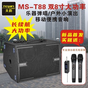天韵可充电双8寸大功率乐器音响OTG内录户外K歌演出便携式 KTV音箱