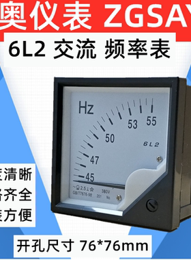 厂家直销 ZGSAYB 沈奥 6L2  45- 55HZ 和 45-65HZ  频率表 低频表