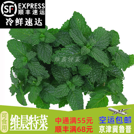 新鲜薄荷叶可食用烘焙奶茶西餐摆盘装饰 泡水调酒香料 65个/盒/件