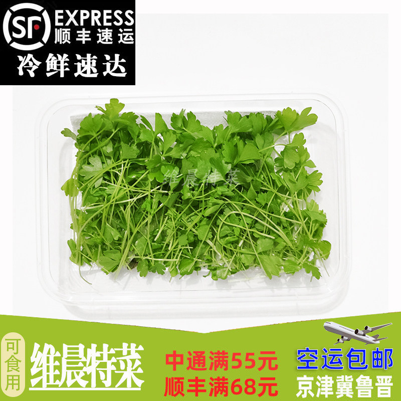 新鲜盒装芹菜苗 西芹苗 香芹苗三叶香酒店装饰摆盘点缀食用芽苗菜