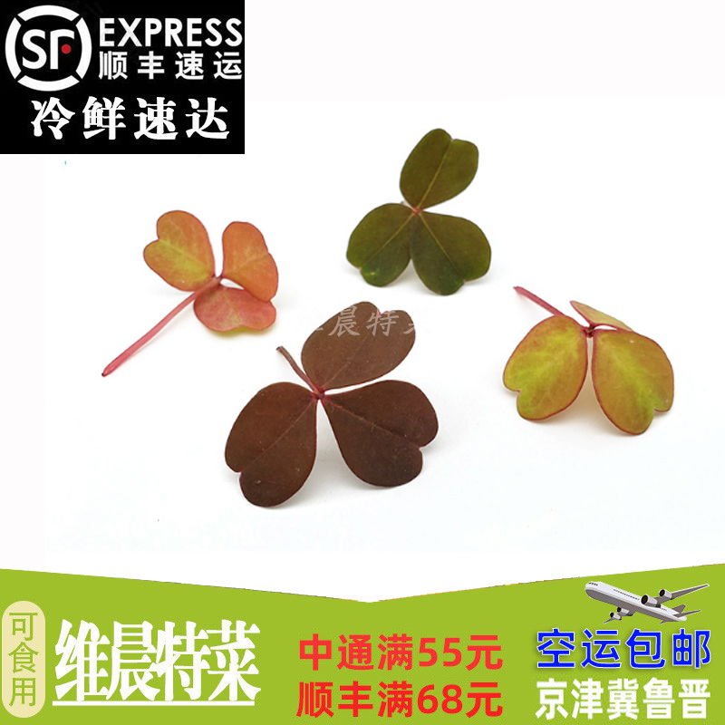 新鲜醡浆草熔岩酢浆草三叶草幸运草日料西餐装饰摆盘40片