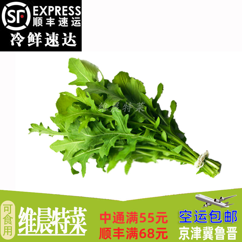 新鲜芝麻菜250g 火箭菜西餐其它
