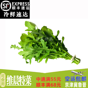 新鲜芝麻菜250g 火箭菜西餐蔬菜沙拉菜生菜可食用鲜菜