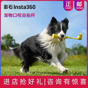 影石Insta360 宠物专用 3宠物口咬自拍杆 自拍神器