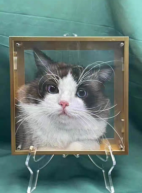宠物亚克力丙烯写实定制肖像礼物画框头像全身分层猫猫狗狗立体画