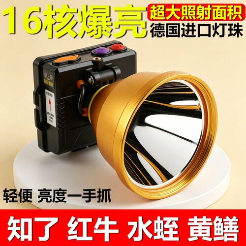 官方正品头戴式强光头灯带感应