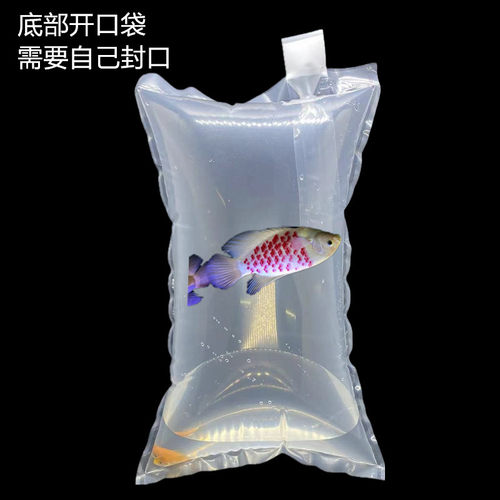 活体水族馆充氧袋源头货源