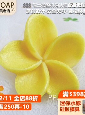 PPSOAP原创点心模具 食品级硅胶模 手工皂模 巧克力烘焙模 FL082