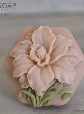 PPSOAP硅胶手工皂模具 蜡烛石膏香薰模 扩香石 DIY材料工具 FL093