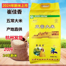 2024年新米崔佳香五常大米东北米新品上新10公斤包装袋20斤长粒米