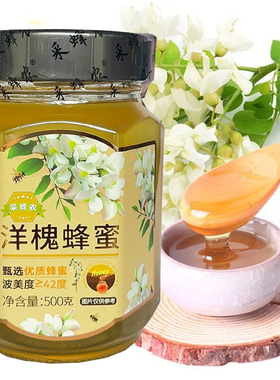 智力采蜂农洋槐蜂蜜瓶装原蜜蜂蜜纯正天然土蜂蜜槐花蜜