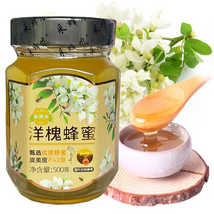 智力采蜂农洋槐蜂蜜瓶装 原蜜蜂蜜纯正天然土蜂蜜槐花蜜