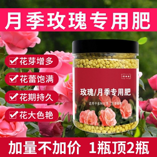 月季 花肥料专用型玫瑰蔷薇家用盆栽通用缓释肥有机肥颗粒复合肥