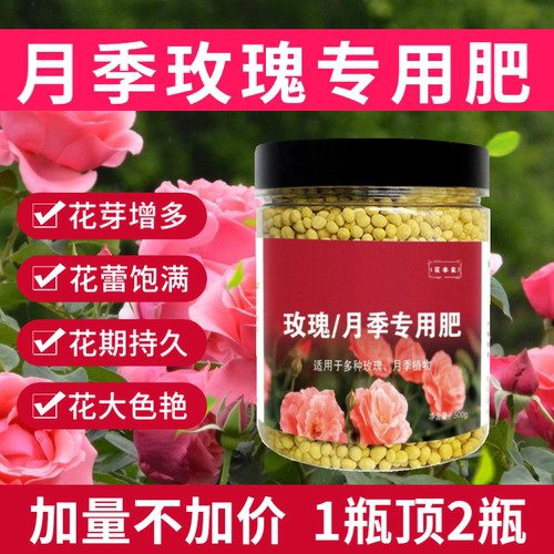 月季花肥料专用型玫瑰蔷薇通用