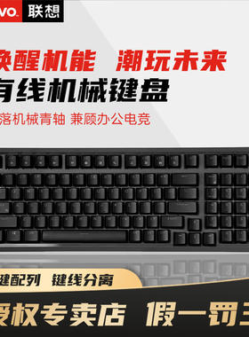 联想MK9 98键有线机械键盘青轴GASKET结构98配列单光电竞游戏专用