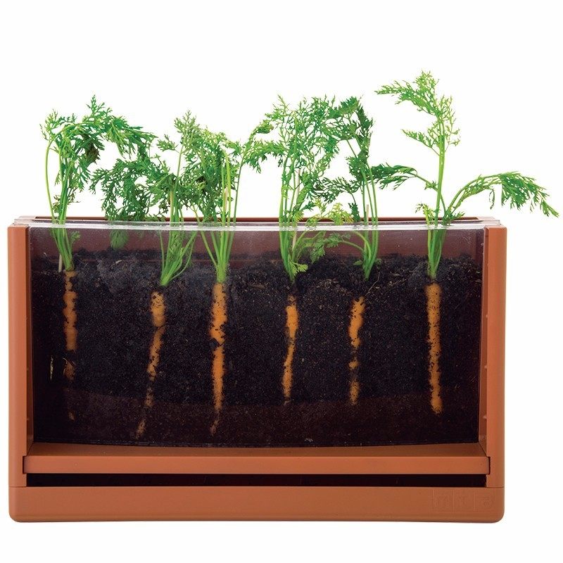 根茎植物观察箱盒网双孔双向幼儿园儿童植物生长科学实验教具,玩具/童车/益智/积木/模型,科学实验,淘宝优惠券,粉丝福利购,淘宝优惠卷