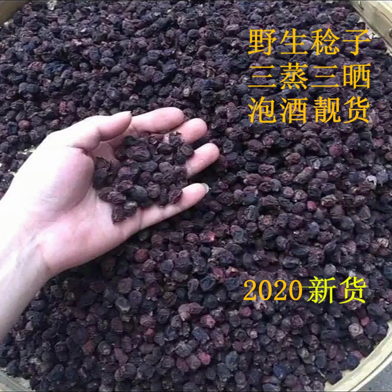 2021年新鲜广西野生山稔子捻子棯子干桃金娘菇稔500g包邮
