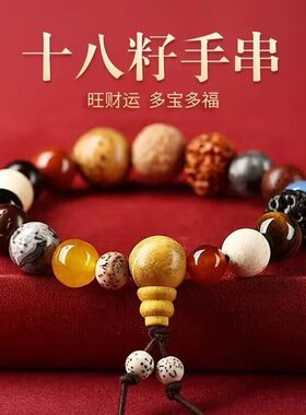 灵隐十八籽菩提手串文玩纪念