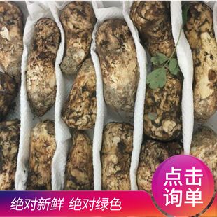 甘孜阿坝小金新鲜松茸雅江松茸非云南香格里拉松茸现货