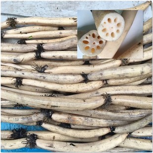 正宗洞庭湖细长湖藕湖南家乡特产野粉糯拔丝莲藕炖汤2-5斤装