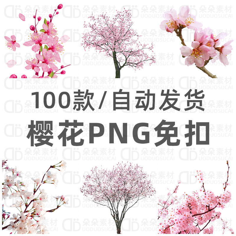樱花免扣图png高清ps素材樱树透明背景园林场景手绘插画海报设计
