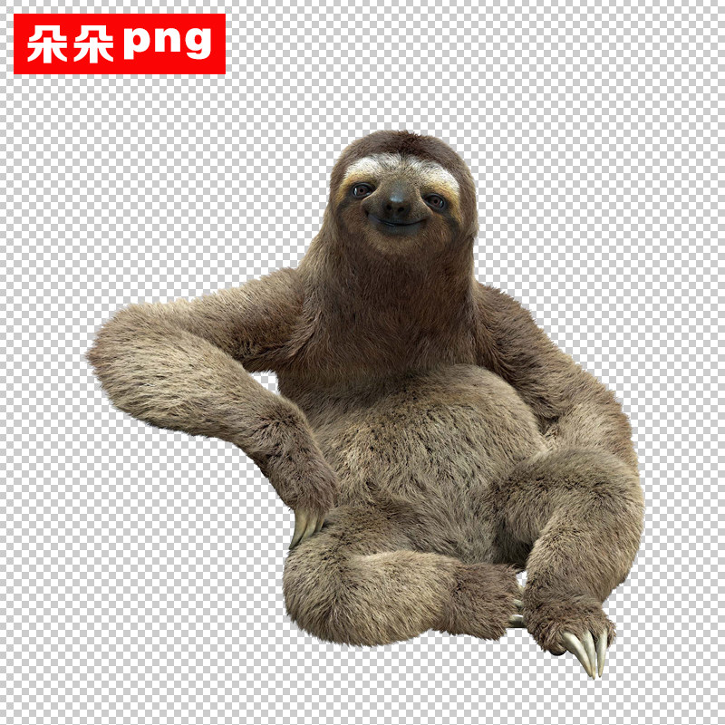 树懒免扣png素材透明背景可爱卡通野生动物树懒手绘设计素材69款