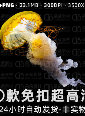 水母PNG免扣psd素材超高清透明背景实景发光黄色海底生物商用设计
