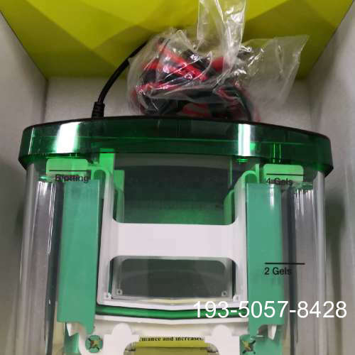 Bio-rad -protean  垂直电泳Bior详谈报价