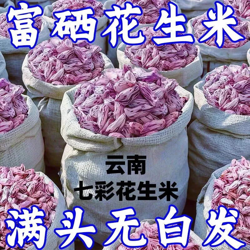 新云南七彩花生晒干带壳生熟彩色花生七彩野地花生米种植批发