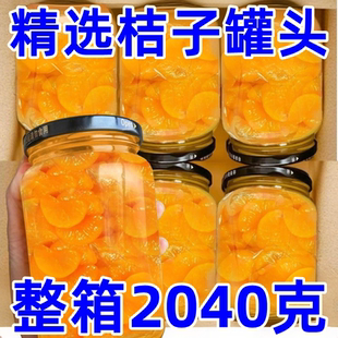 新鲜橘子罐头玻璃瓶既食桔子瓣果汁罐头水果捞商用整箱批发大瓶
