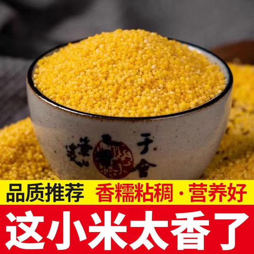 黄小米新米小米粥月子米