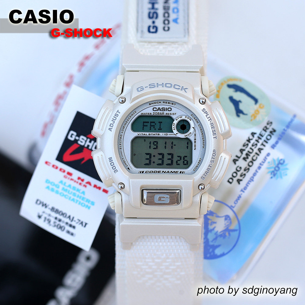 CASIO G-SHOCKxA.D.M.A. DW-8800AJ-7AT阿拉斯加养狗协会全新现货