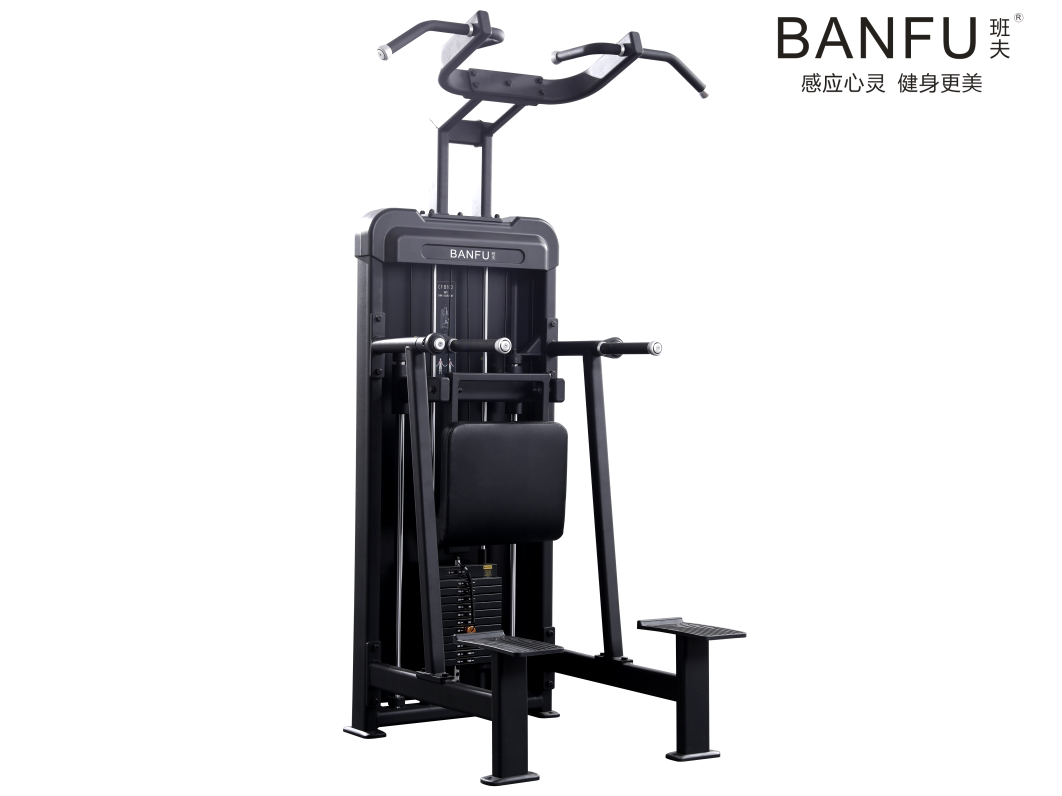 班夫 辅助引体向上训练器专业健身房企事业室内训练器cpb102