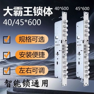 大霸王40/45*500/600 35/40/30*388双快双活智能指纹密码防卡锁体