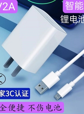 智能锁锂电池专用充电器Typec/安卓数据线5V2A充电头慢充不伤电池
