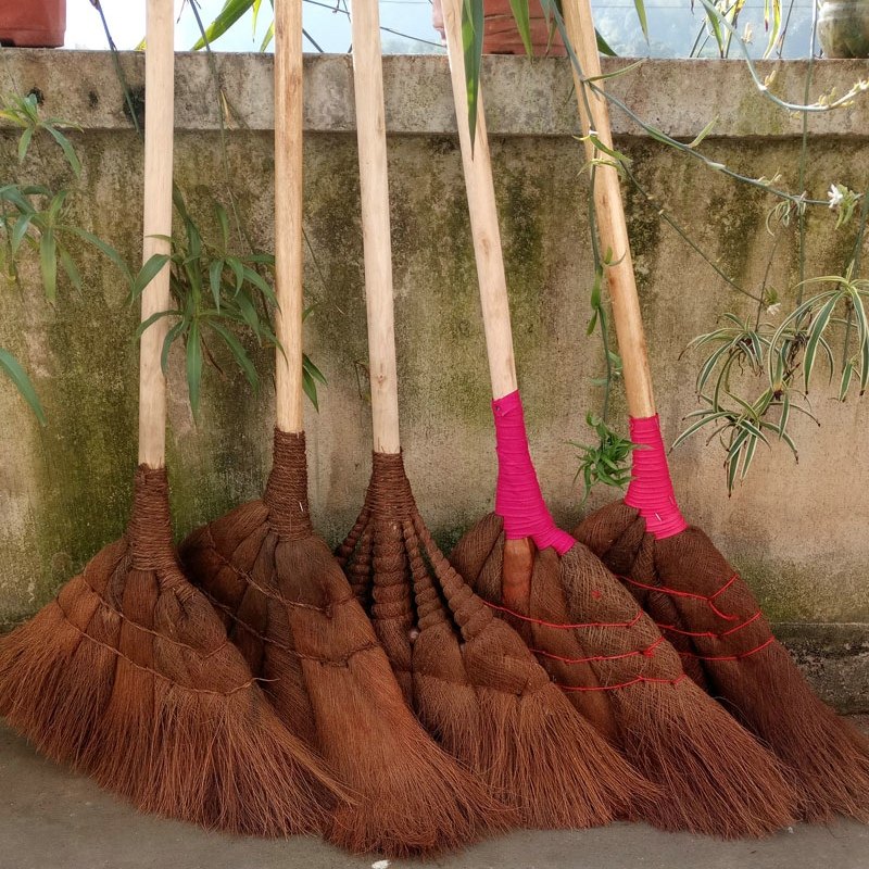 植物天然软毛扫帚棕扫把扫地笤帚条棕毛鬃毛草扫把单个不粘毛免邮