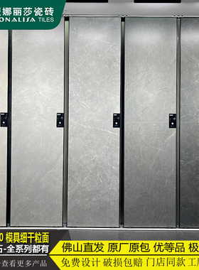 蒙娜丽莎瓷砖轻奢素石75-150FDH10203 10205 10207客厅厨卫墙地砖