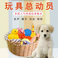 Pet puppy dog ​​toy ball vocal mol cắn đào tạo Teddy gấu con chó con mèo và chó đồ chơi vật nuôi - Mèo / Chó Đồ chơi những đồ chơi cho chó	