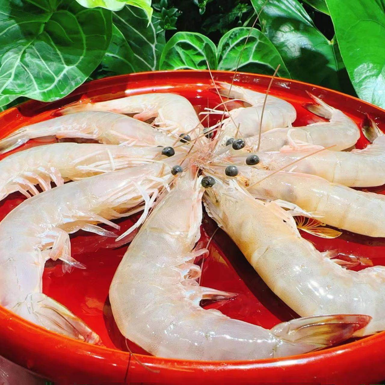 硬家肉铺【野生天然大红虾】鲜甜爽脆！3盒特惠装！双十一骨折价~