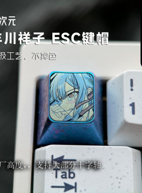 钛次元 丰川祥子 二次元少女乐队企划 ESC 彩色钛合金键帽 原厂