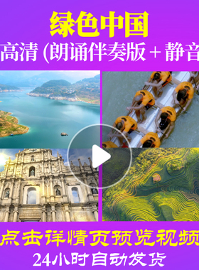 L48188Z绿色中国小提琴组合LED视频伴奏配乐朗诵背景音乐诗歌舞