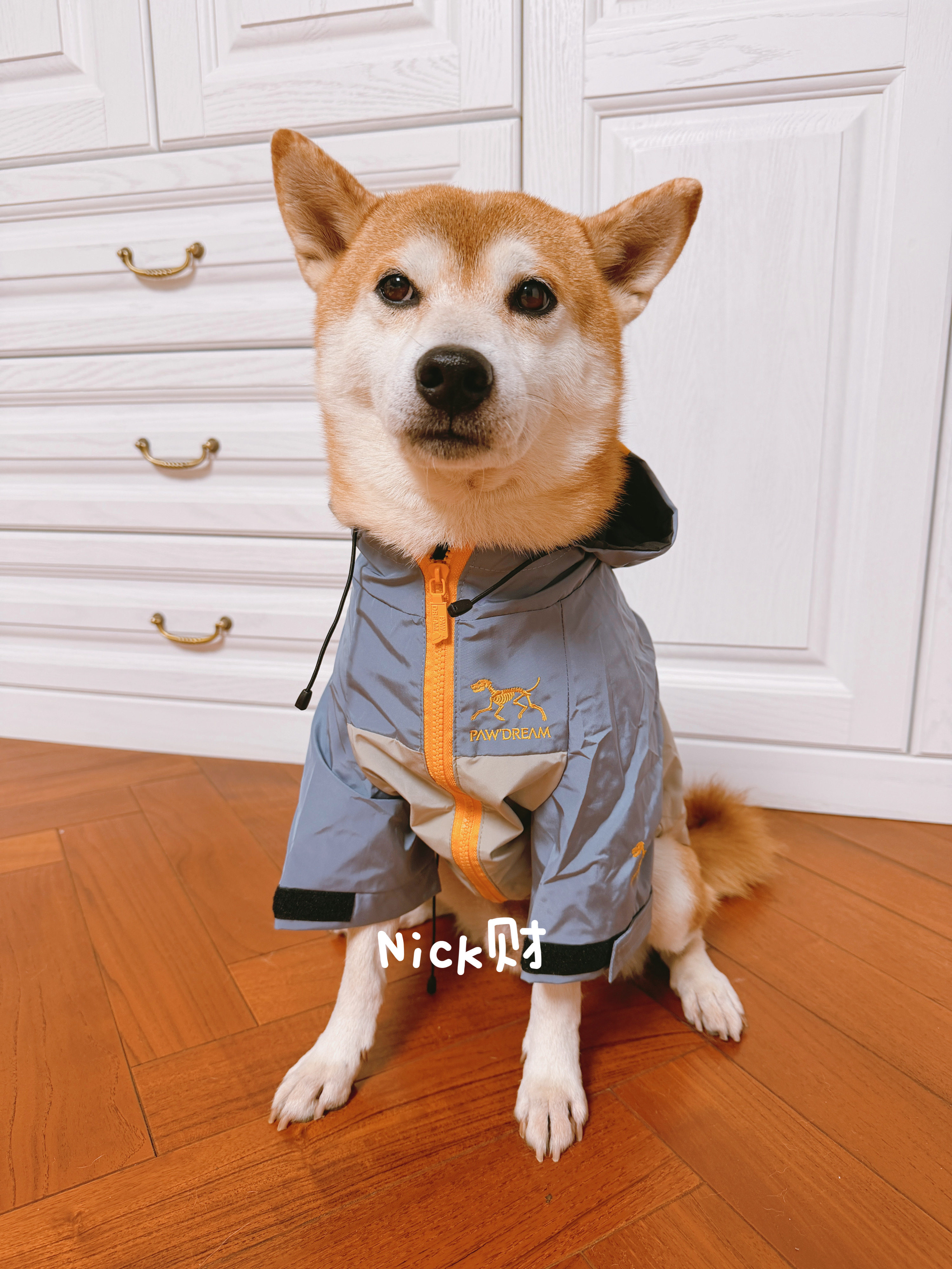Nick财宠物潮牌机能风防风防雨水冲锋衣雨衣柴犬狗狗衣服外套