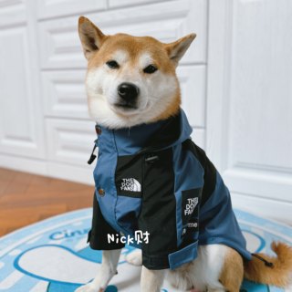 Nick财防风防雨防水柴犬柯基比熊雪拉瑞宠物外套狗狗衣服冲锋衣