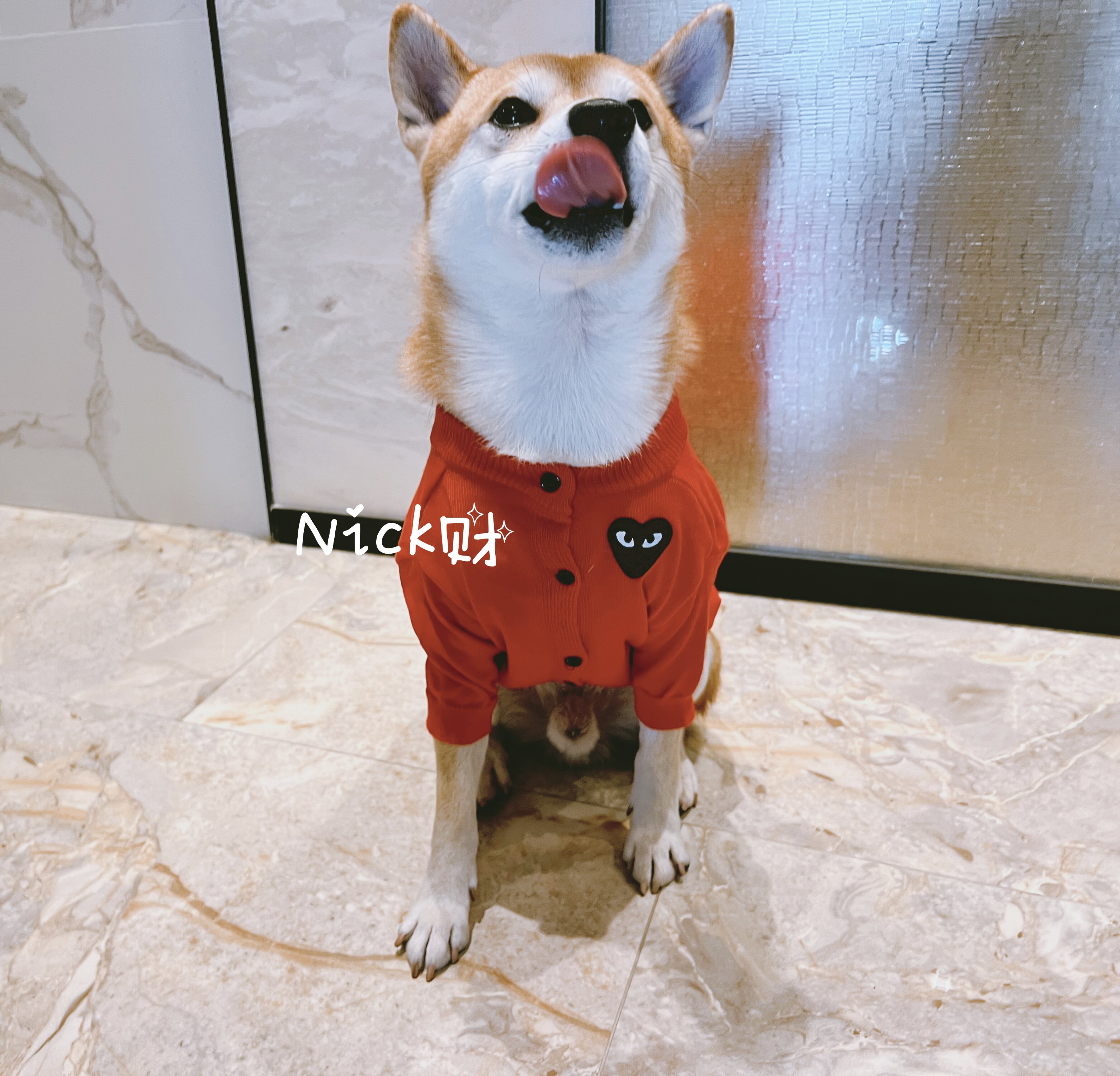 Nick财 秋冬川久爱心笑脸宠物潮牌狗狗柴犬法斗针织开衫毛衣衣服