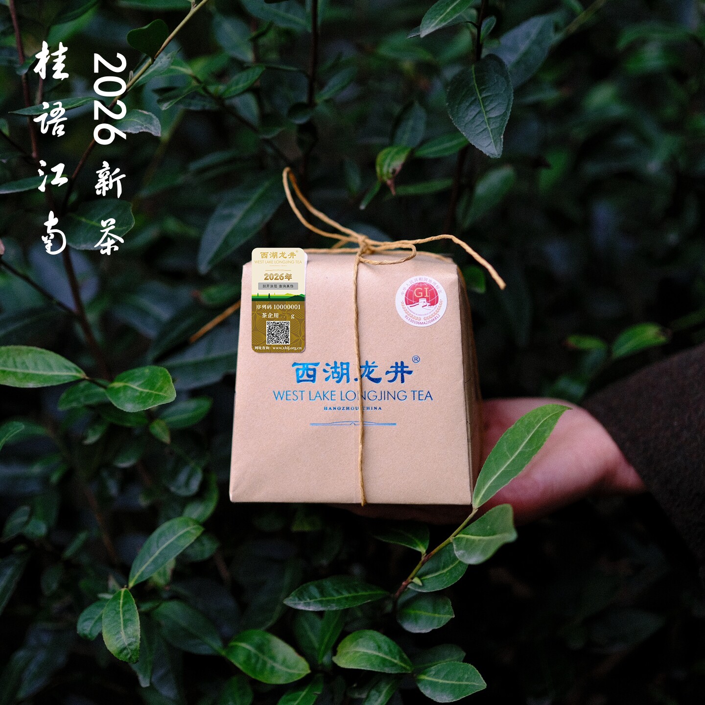 26年西湖龙井明前新茶半手工炒制