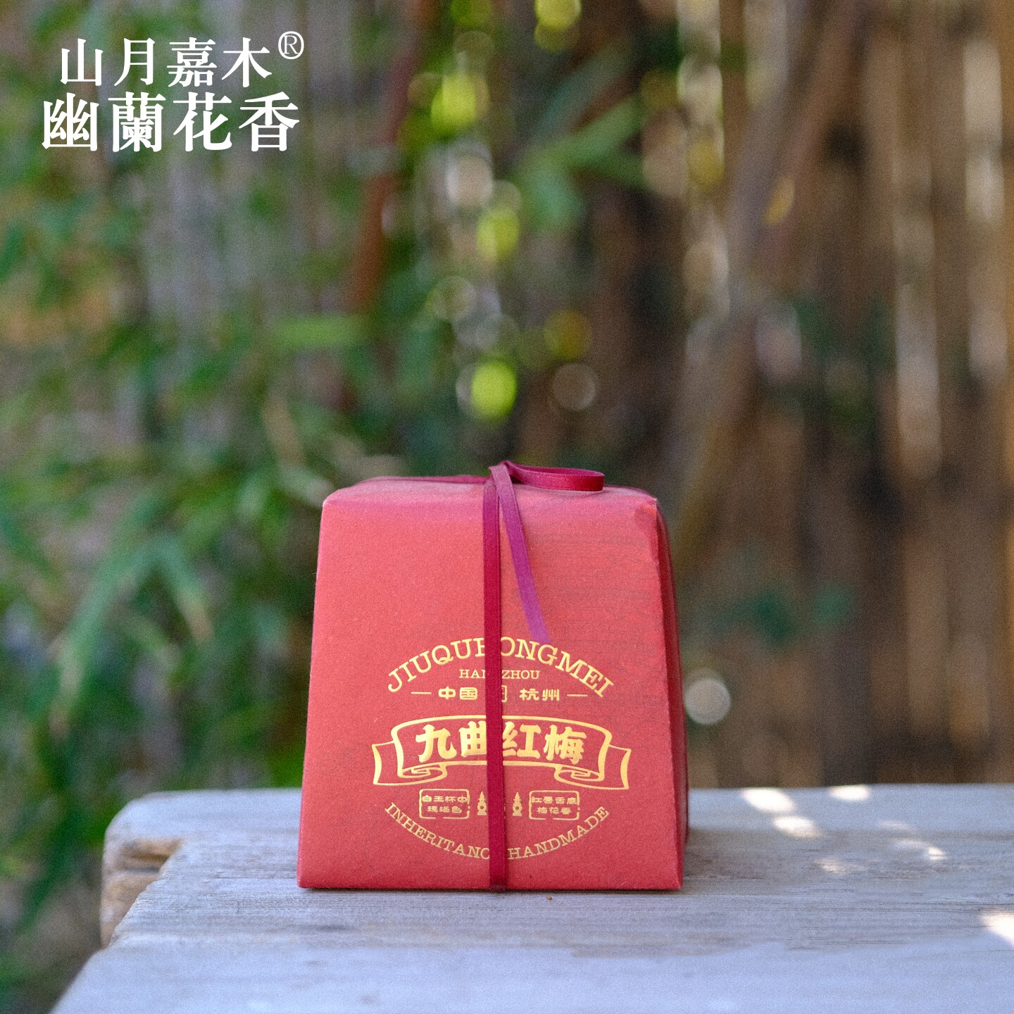 初春红茶优质九曲红梅老茶树图片