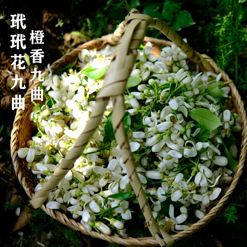 新香味代代花红茶手工窨制橙香