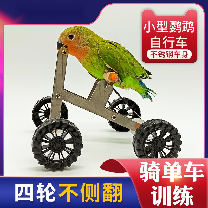 玩具训练自行车训鸟用品道具单车